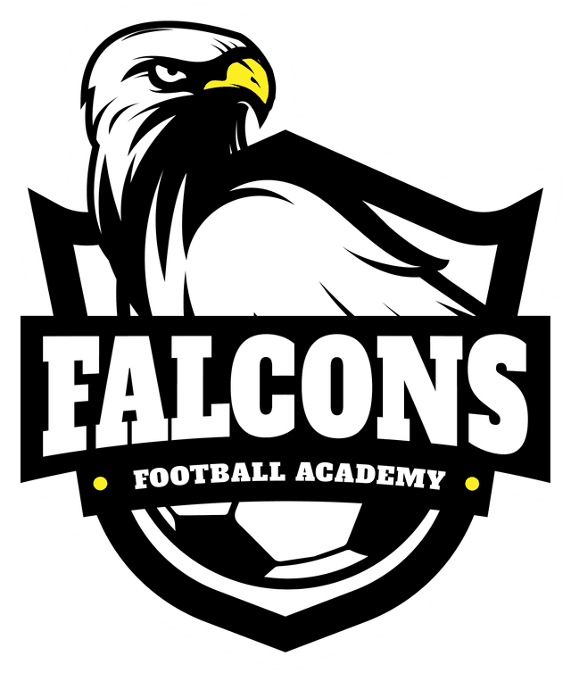 Falcons Football Academy — Escudo